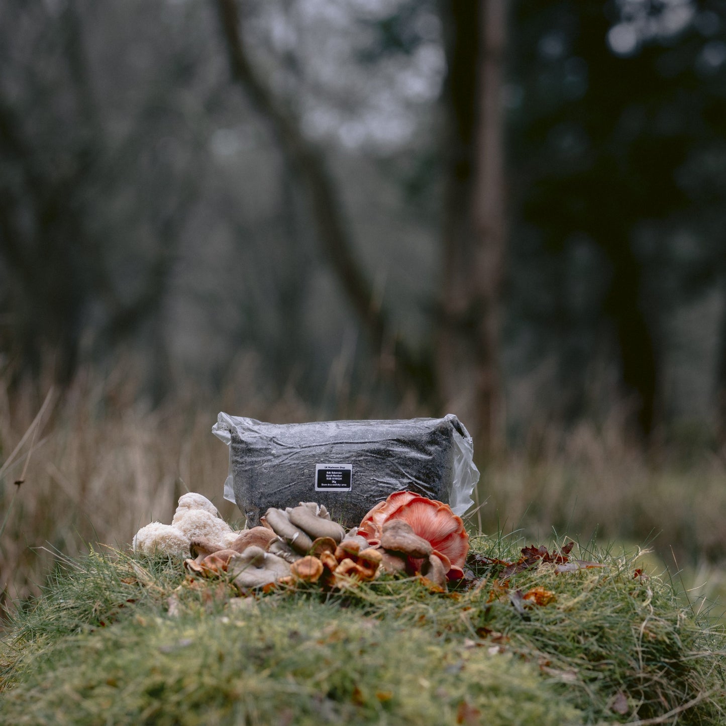 Sterilised CVG Mushroom Coir Vermiculite Gypsum Mix