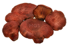Beefsteak mushrooms on a transparent background