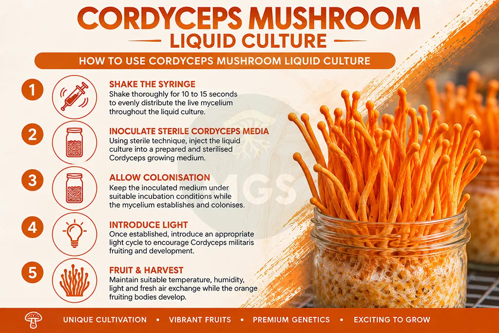 Cordyceps Mushroom Liquid Culture Guide