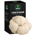 Lion's Mane Mushroom Grow Kit in a black box with a clear window showing Lion's Mane mushrooms growing out of the box on a substrate visible through the box window.