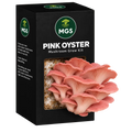 Pink Oyster Mushroom Grow Kit in a black box with a clear window showing Pink Oyster mushrooms growing out of the box on a substrate visible through the box window.