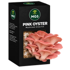 Pink Oyster Mushroom Grow Kit in a black box with a clear window showing Pink Oyster mushrooms growing out of the box on a substrate visible through the box window.