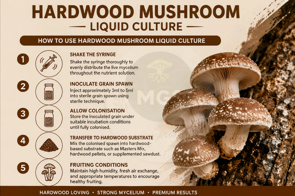 Hardwood mushrooms liquid culture guide