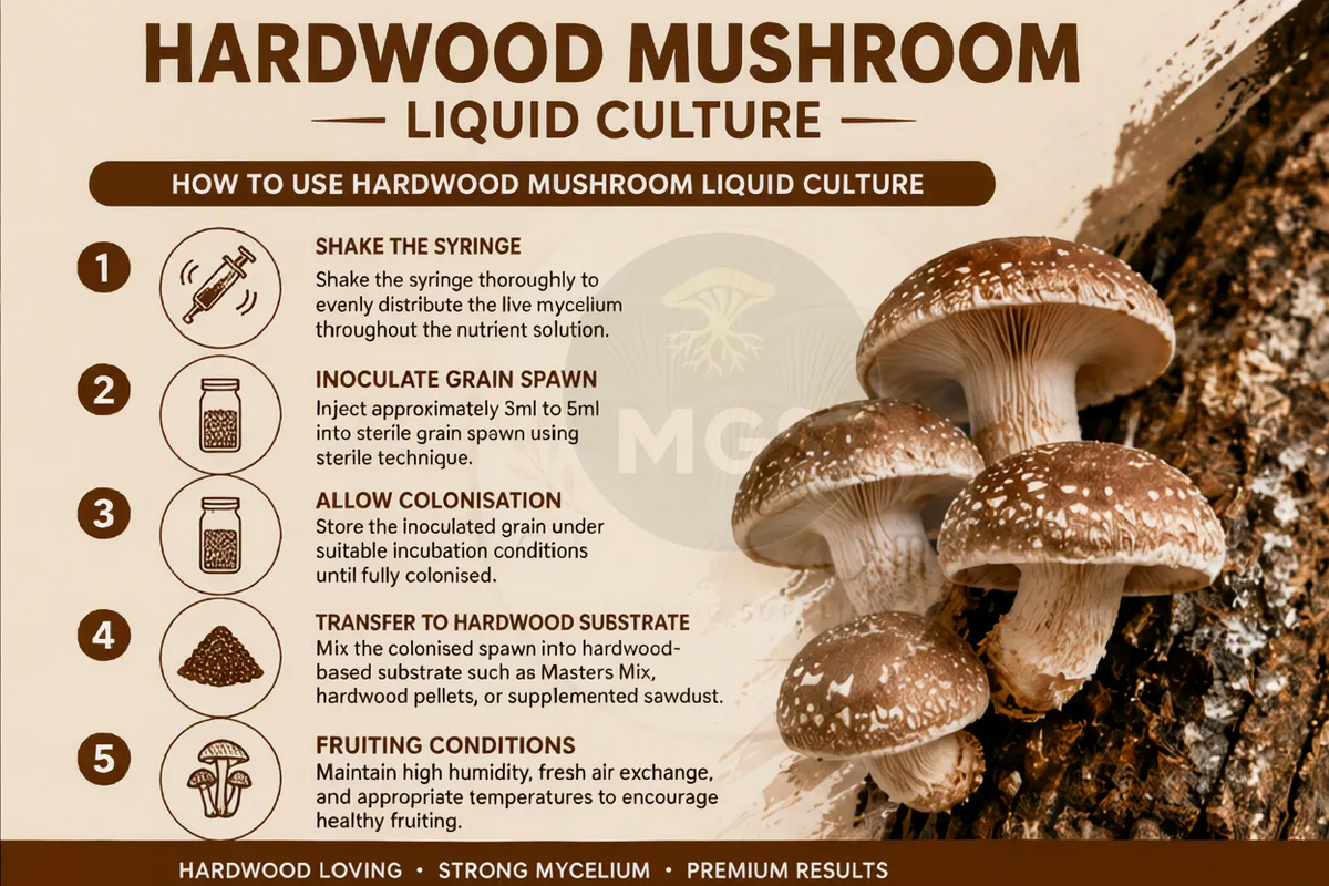Hardwood mushrooms liquid culture guide