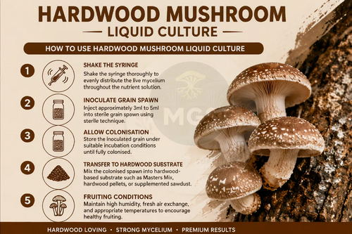 Hardwood mushrooms liquid culture guide
