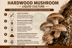 Hardwood mushrooms liquid culture guide