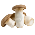King Oyster Mushrooms product photo on a transparent background