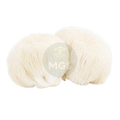 Product photo depicting Lion's Mane mushrooms on a transparent background.