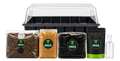 A large monotub grow kit product photo showing a large monotub behind 1x 1.5kg sterile millet grain bag, 1x 2kg sterile CVG bag, 1x 1.5kg All-In-One grow bag, 1x fine mister bottle and 1x Mushroom Sterile pack.