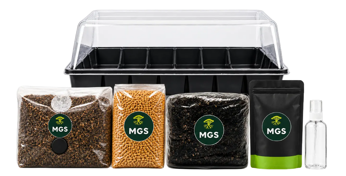 A large monotub grow kit product photo showing a large monotub behind 1x 1.5kg sterile millet grain bag, 1x 2kg sterile CVG bag, 1x 1.5kg All-In-One grow bag, 1x fine mister bottle and 1x Mushroom Sterile pack.