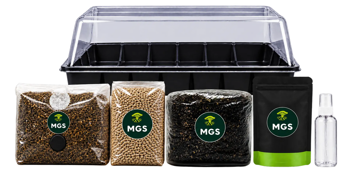 A large monotub grow kit product photo showing a large monotub behind a 1.5kg sterile rye grain bag, a 2kg sterile CVG bags, a 1.5kg All-In-One grow bag, a fine mister bottle and a Mushroom Sterile pack.