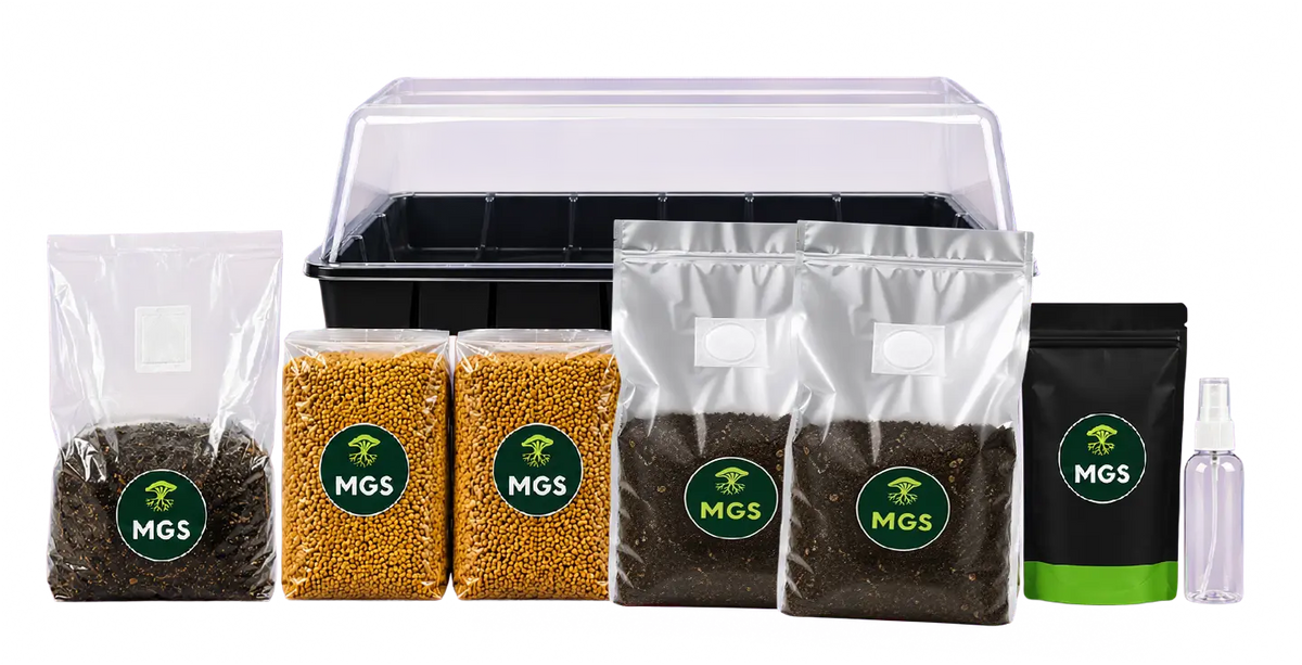 A large monotub grow kit product photo showing a large monotub behind 2x 1.5kg sterile millet grain bags, 2x 2kg sterile CVG bags, 1x 1.5kg All-In-One grow bag, 1x fine mister bottle and 1x Mushroom Sterile pack.