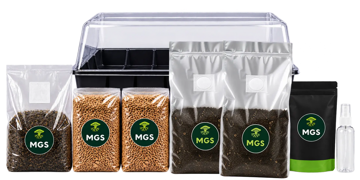 A large monotub grow kit product photo showing a large monotub behind 2x 1.5kg sterile rye bags, 2x 2kg sterile CVG bags, 1x 1.5kg All-In-One grow bag, 1x fine mister bottle and 1x Mushroom Sterile pack.