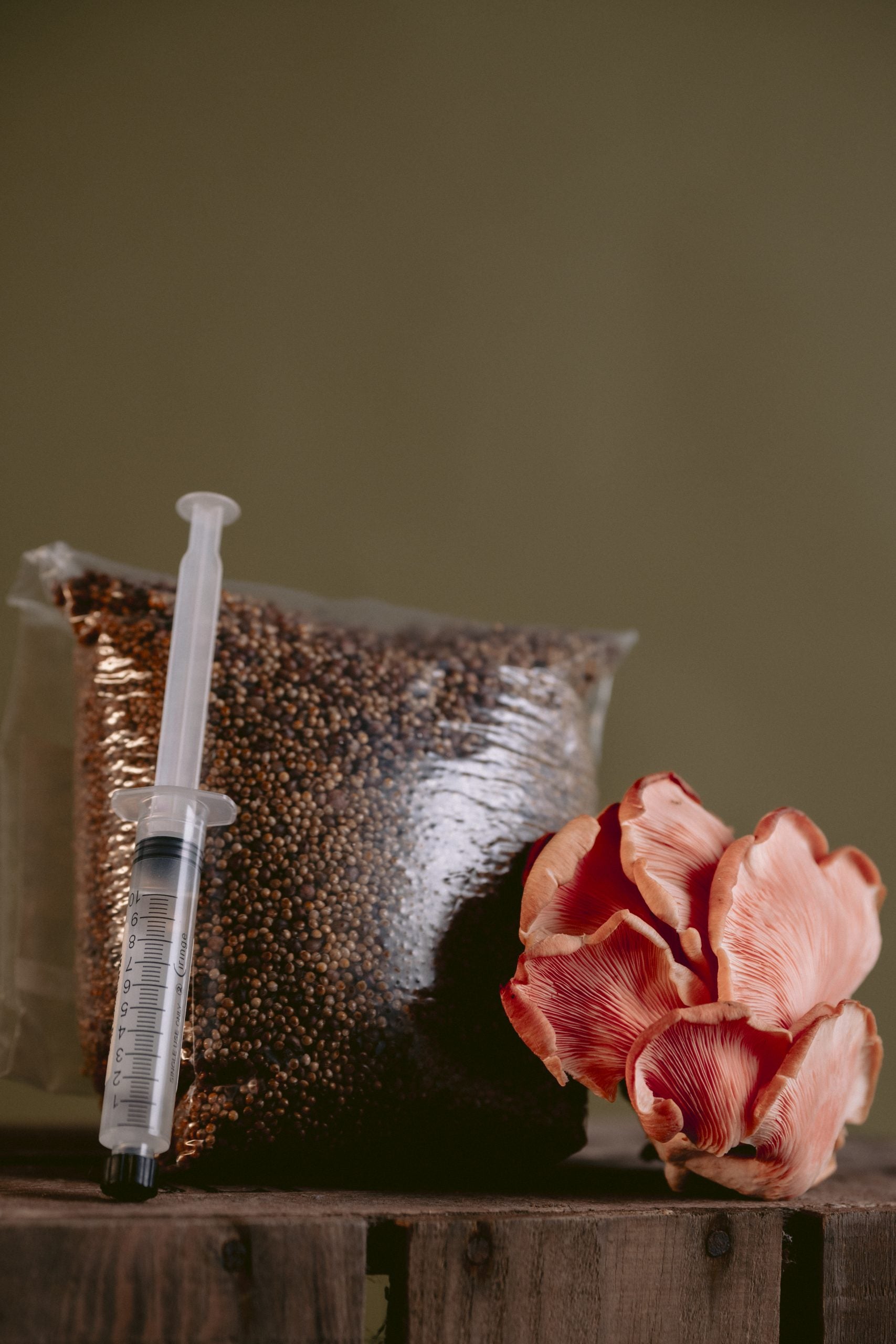 Sterile Mushroom Millet Grain Bag