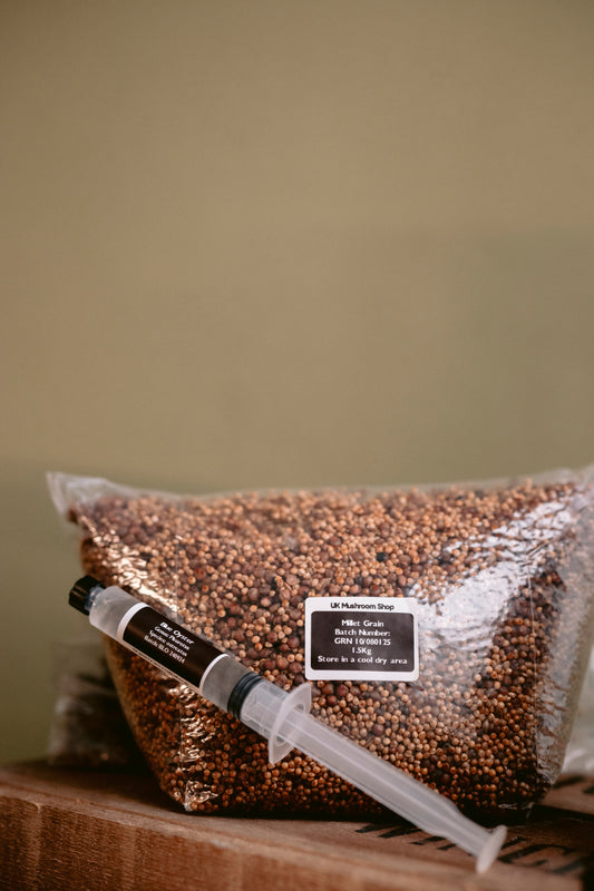Sterile Mushroom Millet Grain Bag