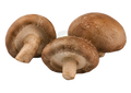 Shiitake mushrooms on a transparent background