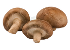 Shiitake mushrooms on a transparent background