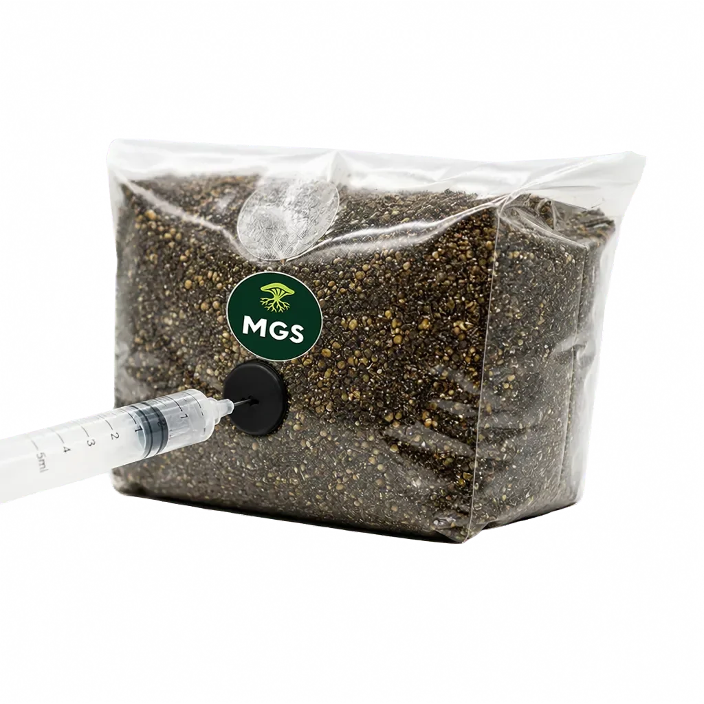 An Inject and Grow bag product photo featuring a mushroom grow kit being inoculated