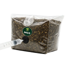 An Inject and Grow bag product photo featuring a mushroom grow kit being inoculated