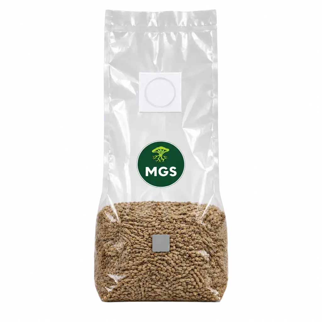 A clear bag stood upright filled with mushroom rye grain, featuring a circular green Mushroom Growing Supplies branded logo label on the front along with a self healing injection port and filter patch, photographed on a clear background.